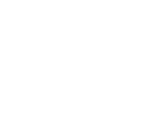 SELSM élément graphiquwebp